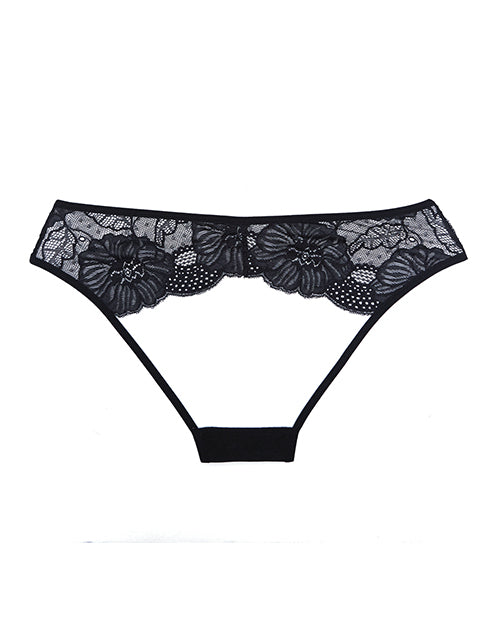 Adore Kiss Mesh & Lace Open Panty Black O-s