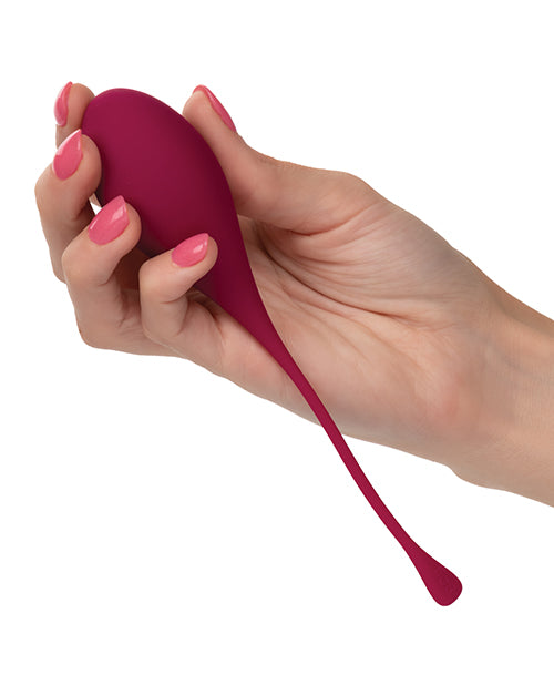 Kegel Training 5 Pc Set - Asst Colors