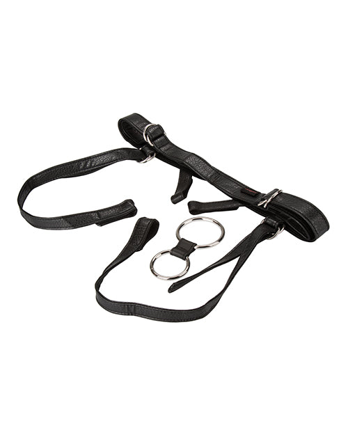 Her Royal Harness The Duchess - Black