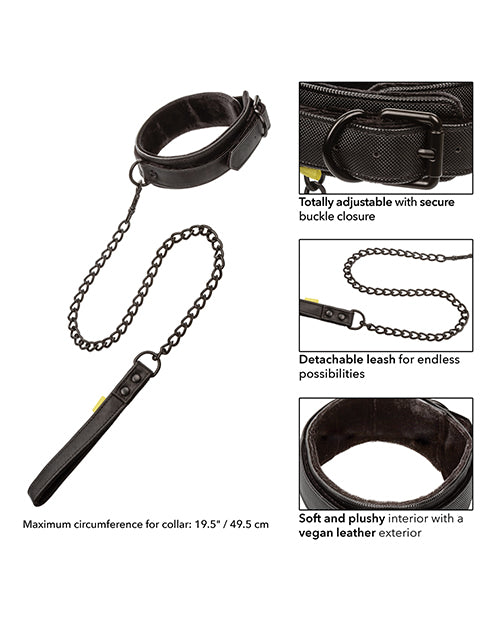 Boundless Collar & Leash - Black
