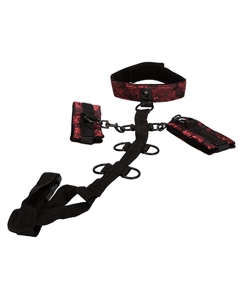 Scandal Collar Body Restraint - Black-red